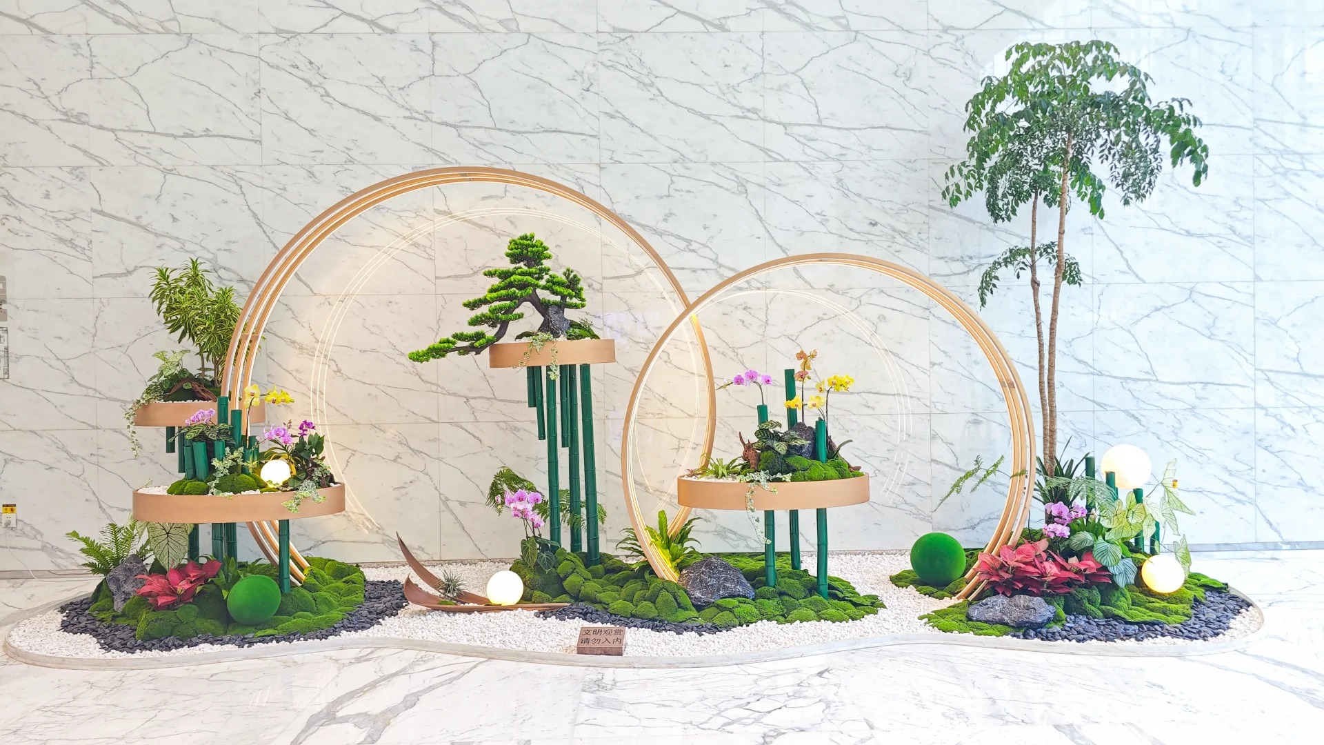 余姚盆景租摆哪家优?看这篇攻略就知道!