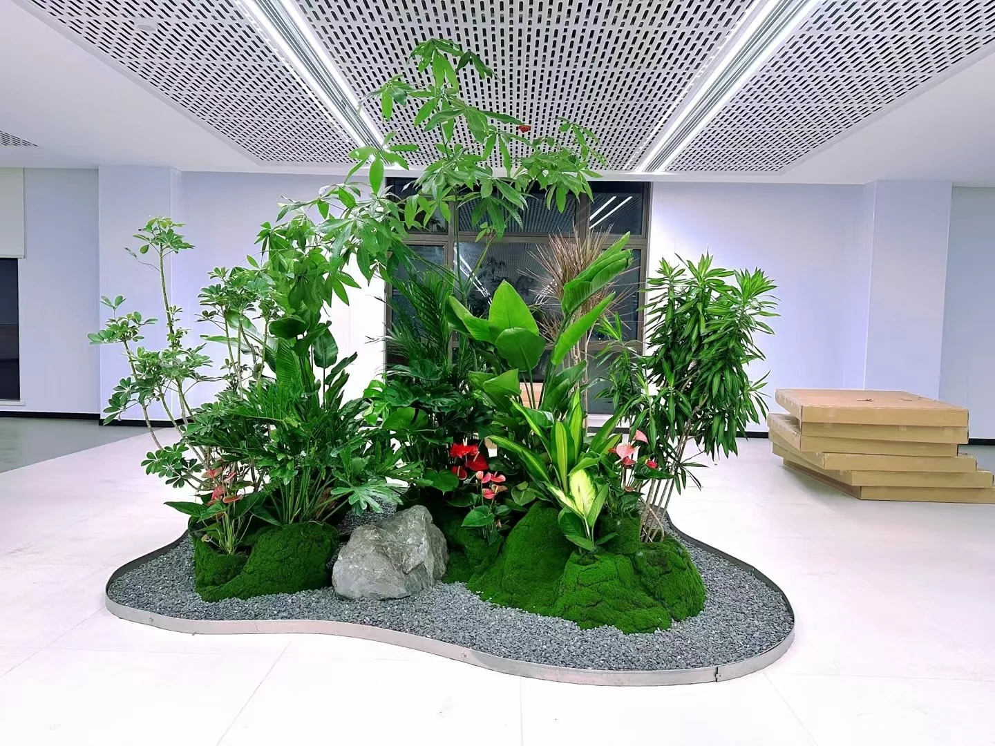 体验宁波杭州湾绿植出租设计，畅享绿色办公！