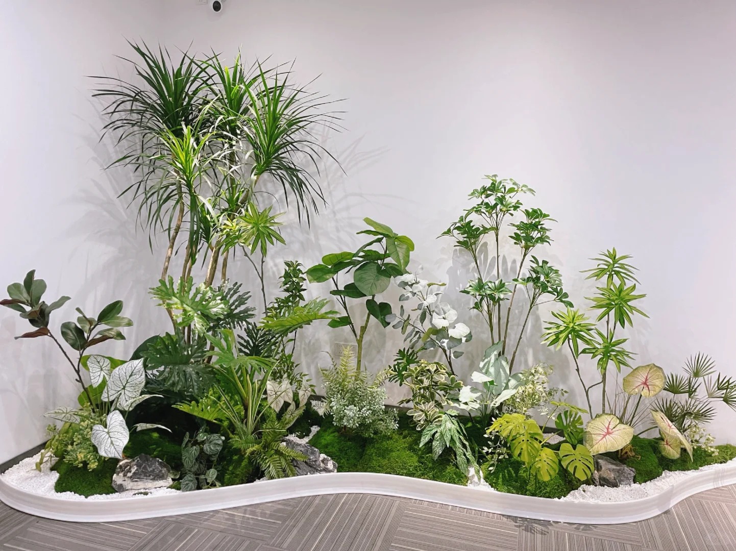 体验前湾花木租赁,优质服务让绿植焕发生机!