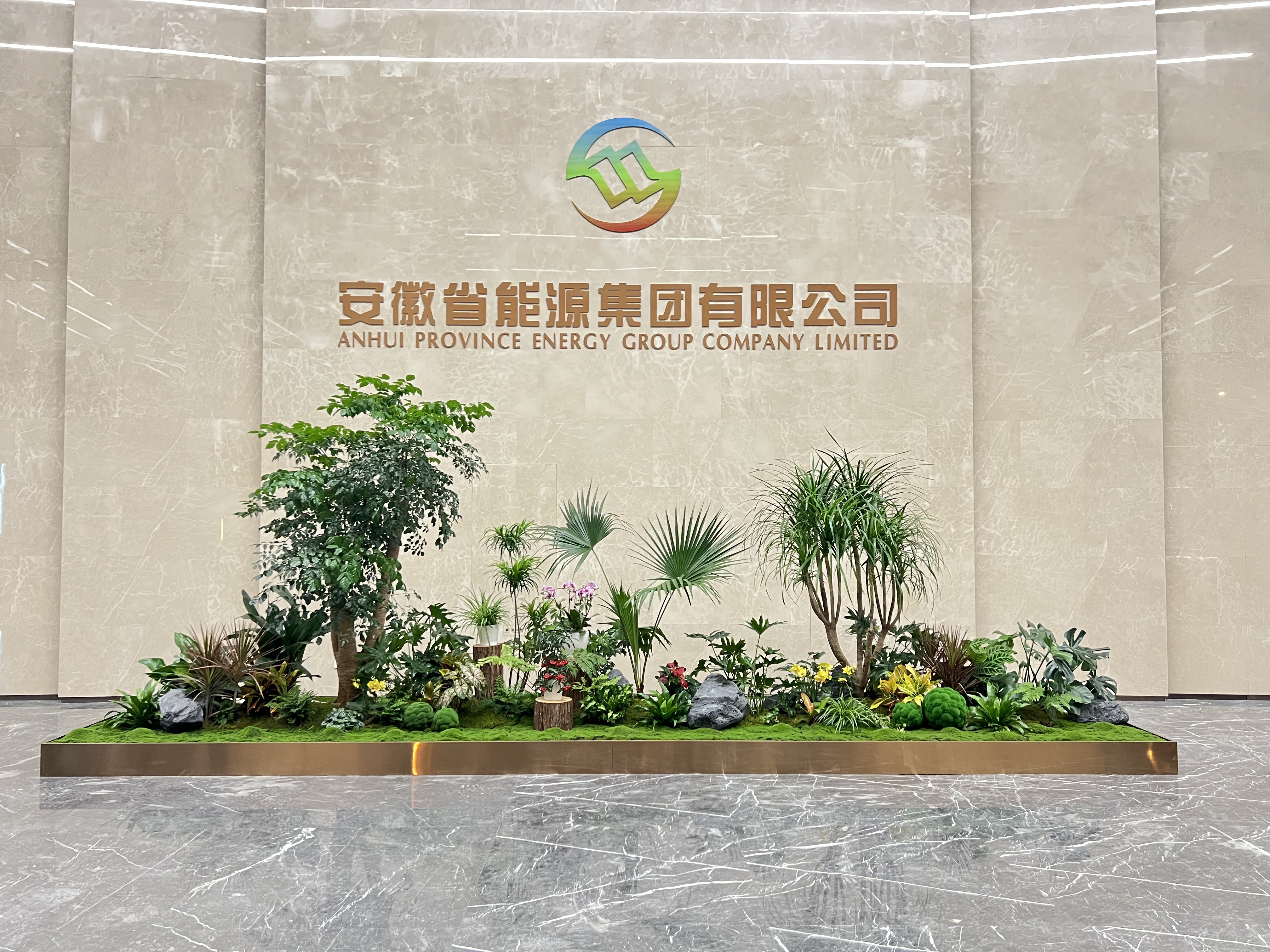 专业盆景出租，宁波慈溪的绿色魅力等你来享！